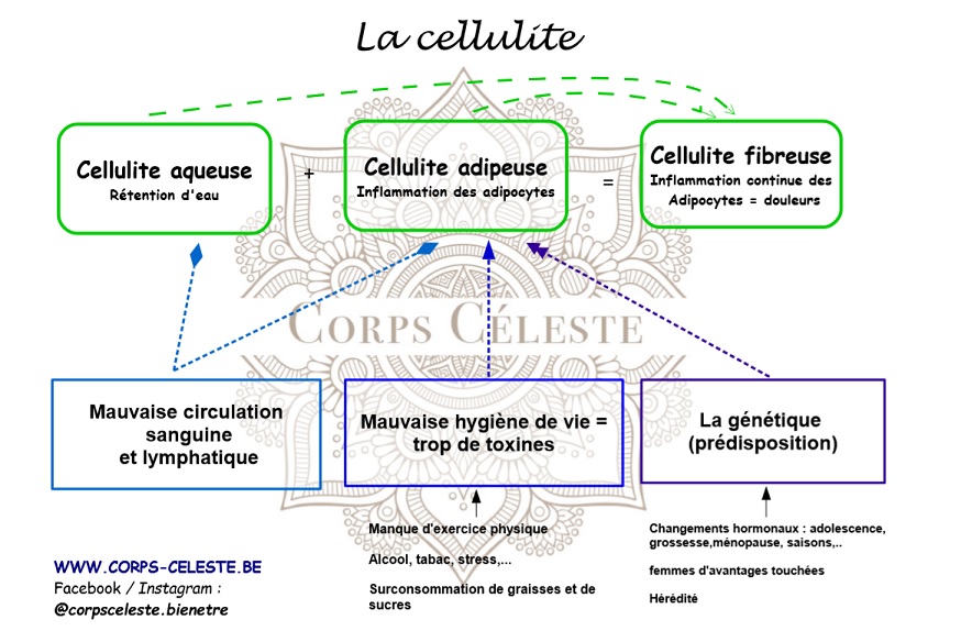 C’Est Quoi Un Corps Céleste Exemple De Corps Céleste BLKXFS — free download
